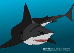 tshark https tshark https