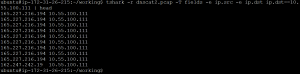 tshark https tshark https